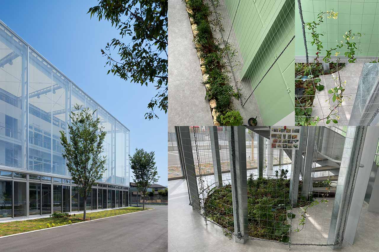 植物を建築に取り入れる